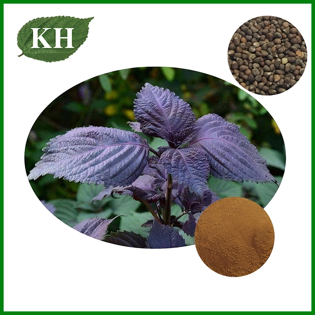 Perilla Seed Extract